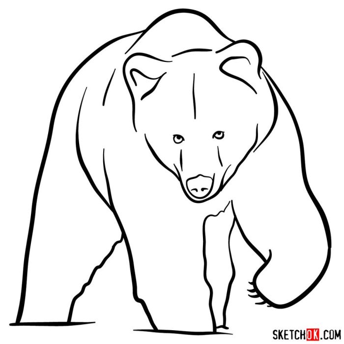 Drawing of a black bear easy