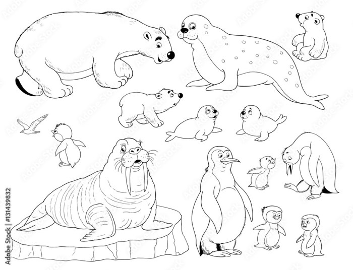 Free polar animal coloring pages