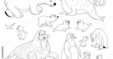 Arctic animals coloring pages pdf