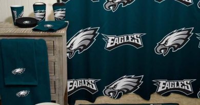 Philadelphia eagles bathroom decor