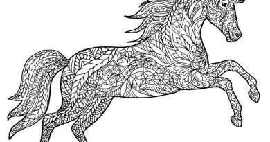 Realistic hard coloring pages of animals