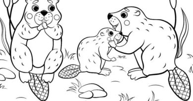 Coloring pages printable animal