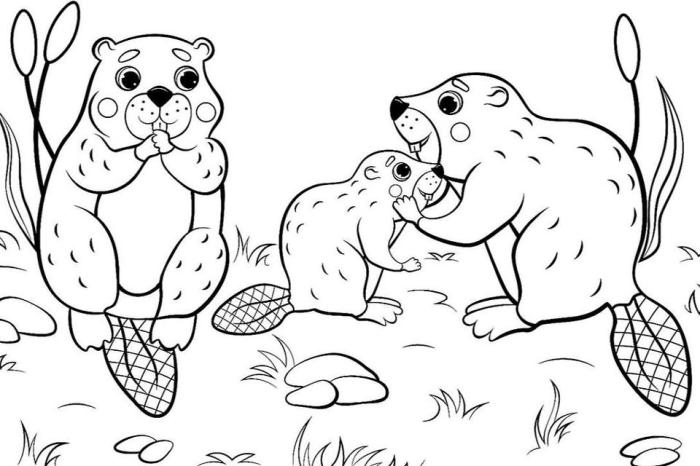 Coloring pages printable animal