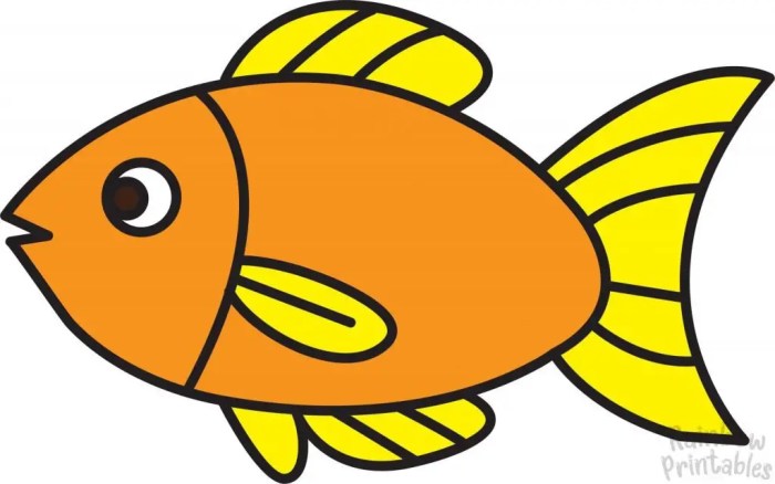 Goldfish drawing of a feeder fish easy