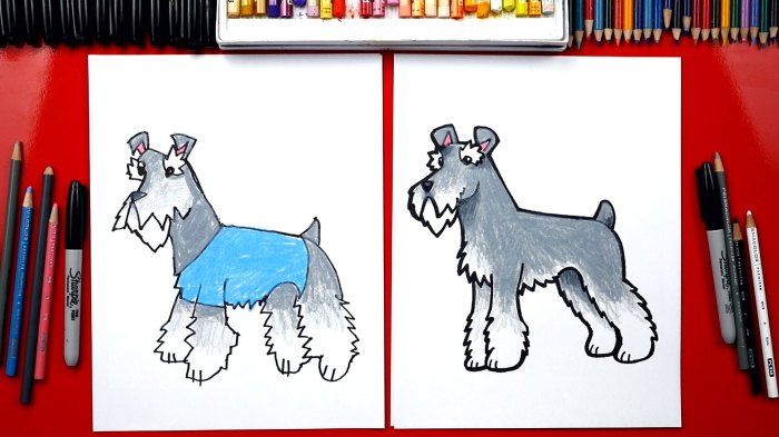 Schnauzer lisaglanz