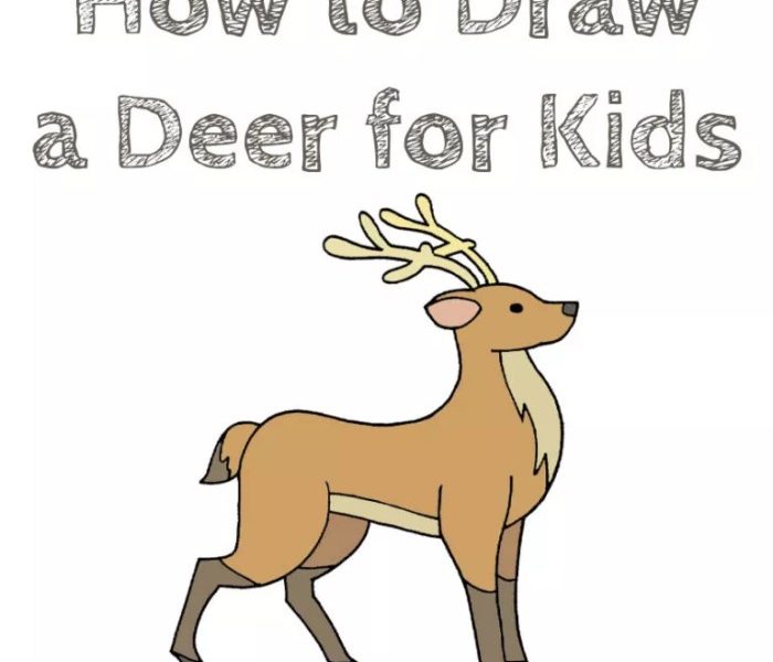 Deer drawing really easy