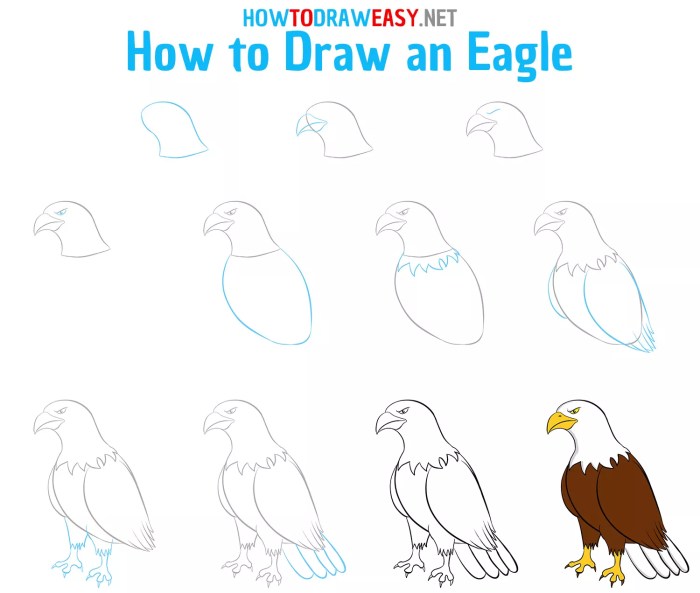 Kids' books eagle drawing easy