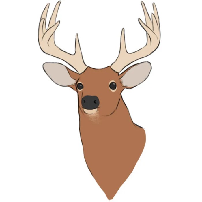 Deer drawing really easy