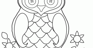 Animal coloring pages owl