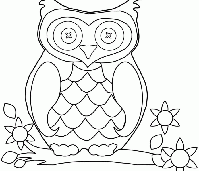 Animal coloring pages owl