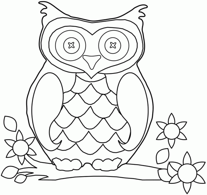 Animal coloring pages owl