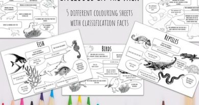 Animal classification coloring sheet