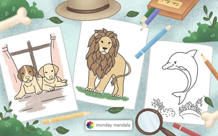 Coloring pictures for kids animals