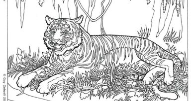 Coloring sheets for teens animals