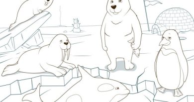 Free polar animal coloring pages