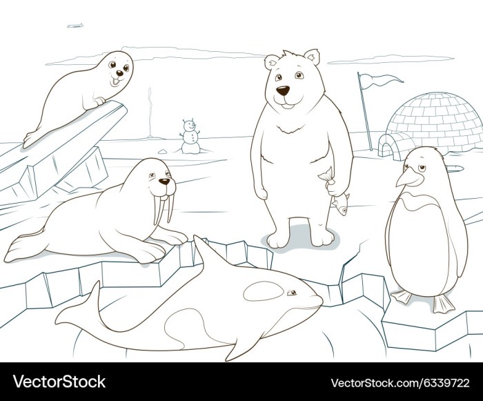 Free polar animal coloring pages