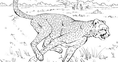 Free animal coloring pages national geographic