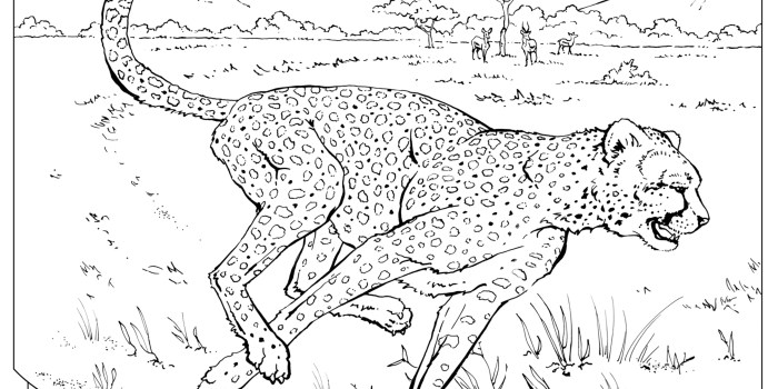 Free animal coloring pages national geographic