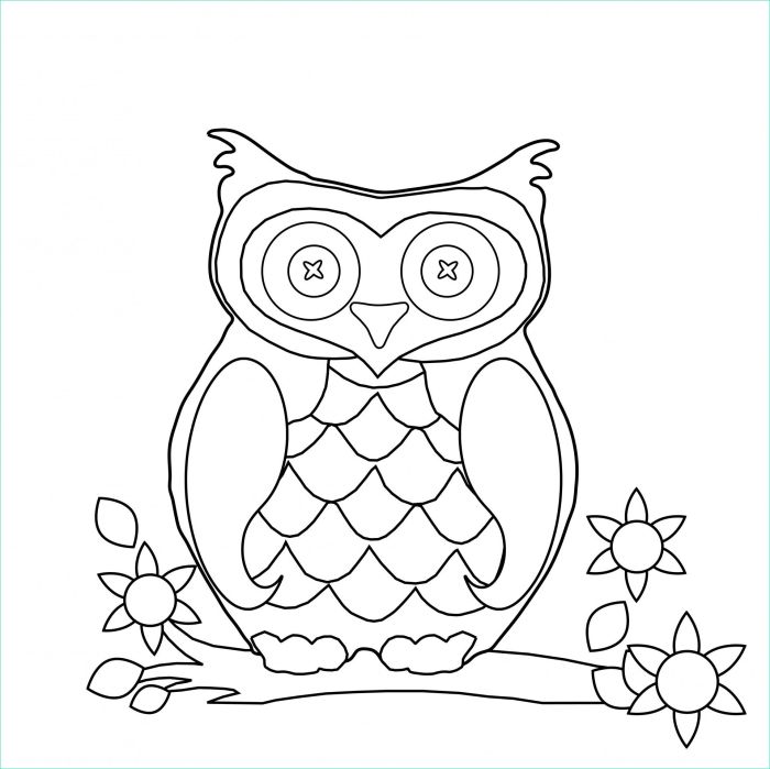 Animal coloring pages owl