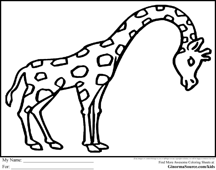 Free coloring pages of animals easy