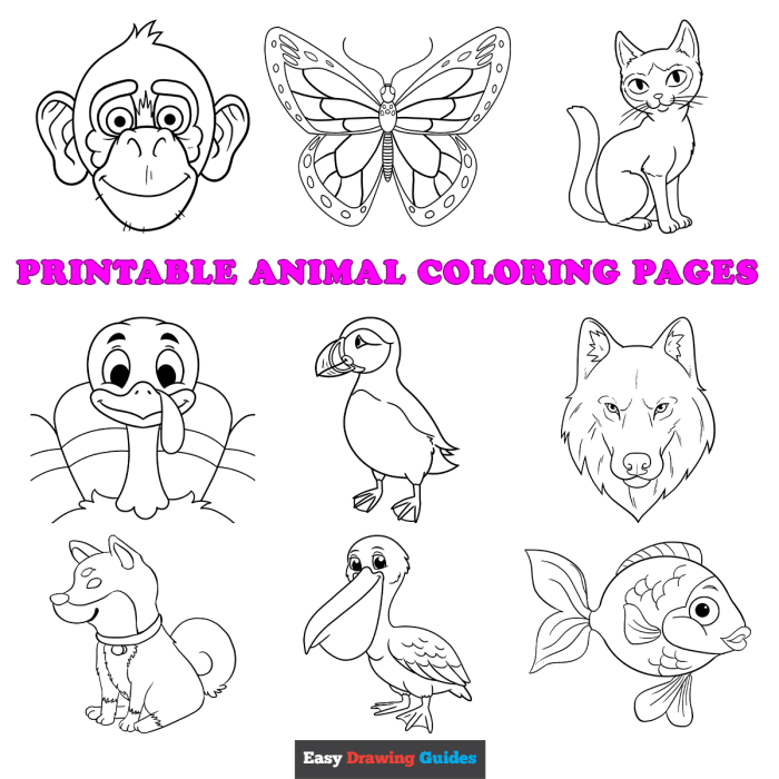 Easy free printable coloring pages animals