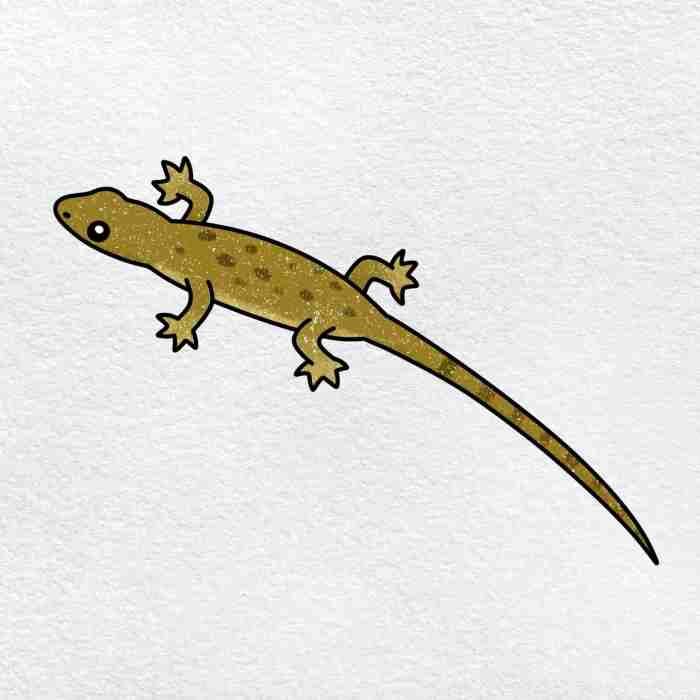 Iguana lizard draw drawing reptile simple kids easy drawings cartoon paintingvalley