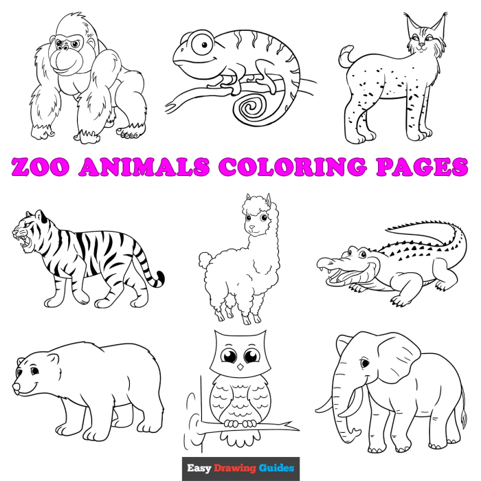 Zoo animals coloring pages free