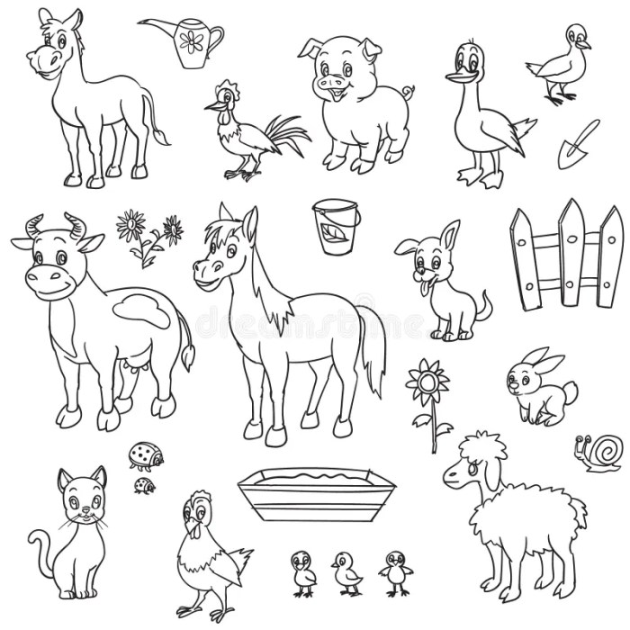 Farm animals coloring book