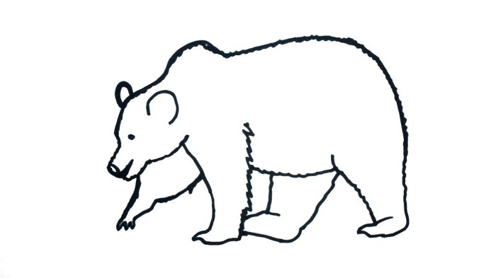 Drawing of a black bear easy