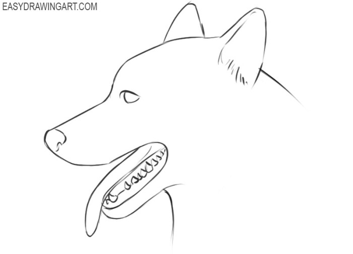 Easy drawing of a wild dog head