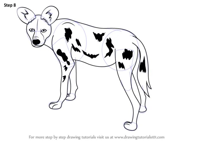 African wild dogs drawing easy