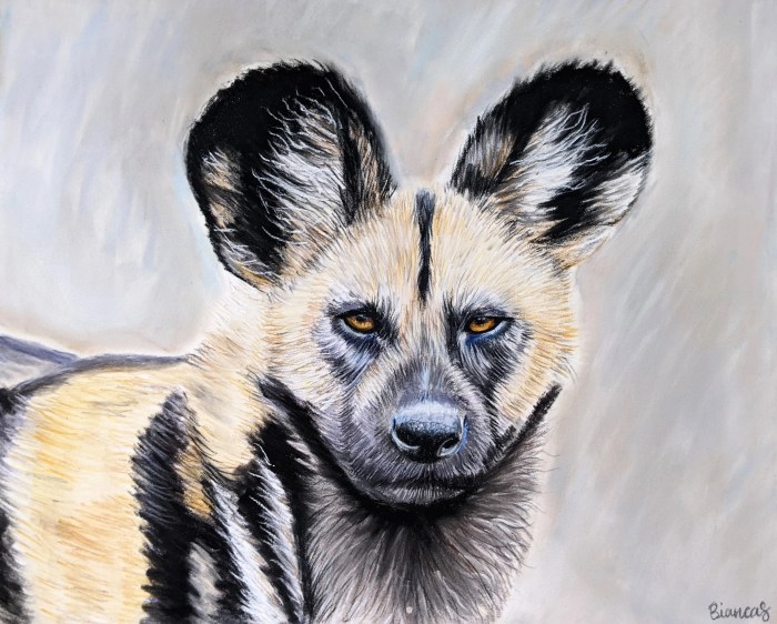 African wild dogs drawing easy