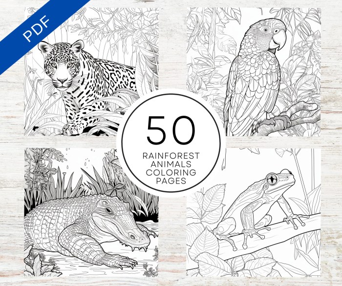 Amazon animals coloring pages