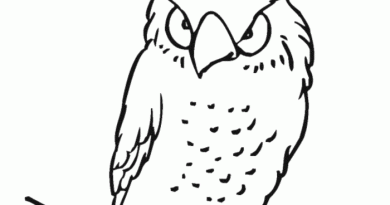 Coloring pages patterns animals owl