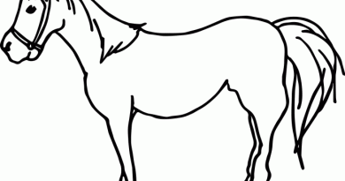 Coloring pages animals anime horse simple