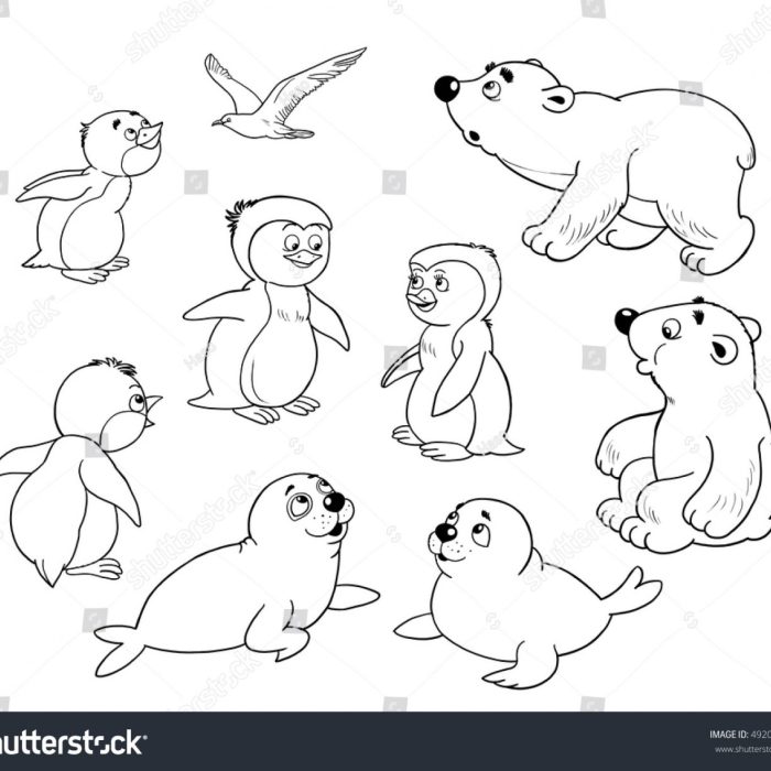 Free polar animal coloring pages