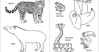 Coloring pages for animals in the jungle