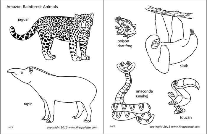 Jungle animals coloring pictures