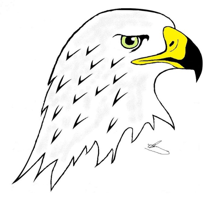 Kids' books eagle drawing easy