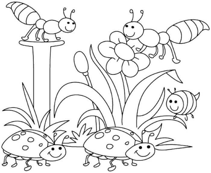 Spring animals coloring pages