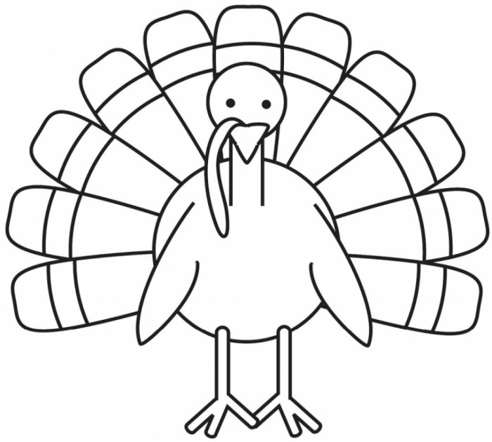 Coloring pictures of turkey animal