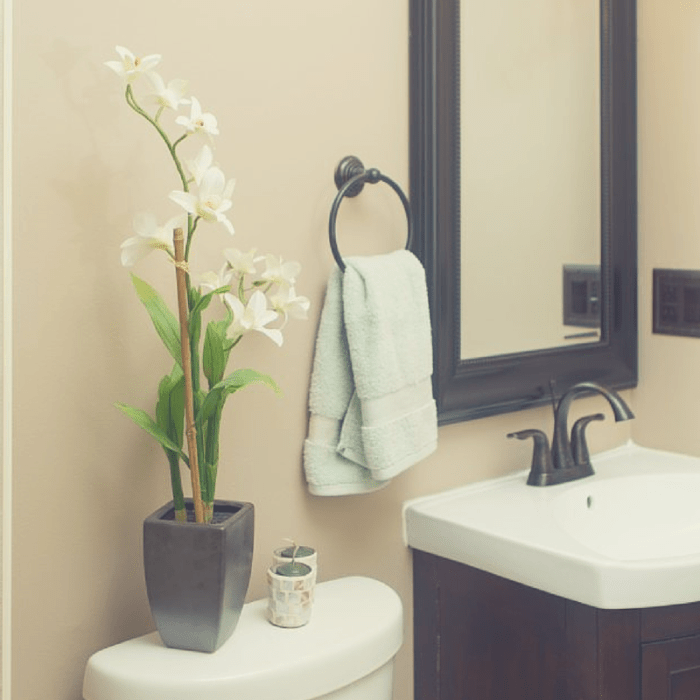 Fleur de lis bathroom decor