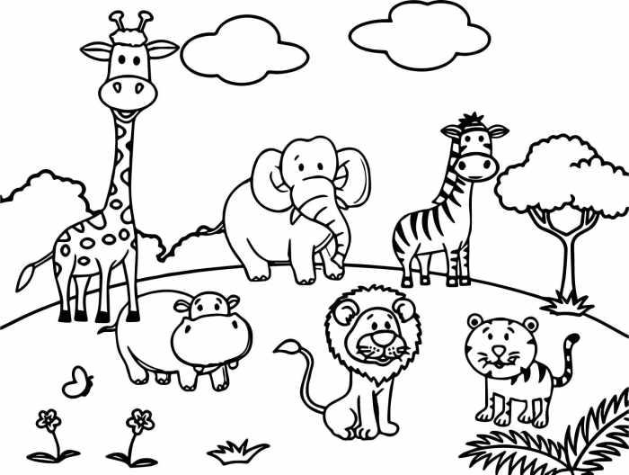 Jungle animals coloring pictures